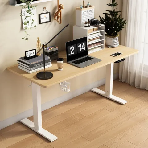 HOMAVO HOMAVO Bureau Assis Debout Électrique 120x60cm Hauteur Réglable 70-119 cm USB/TYPE-C Charge 75 kg Mémoire Anti-Collision Bois